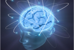 brain2